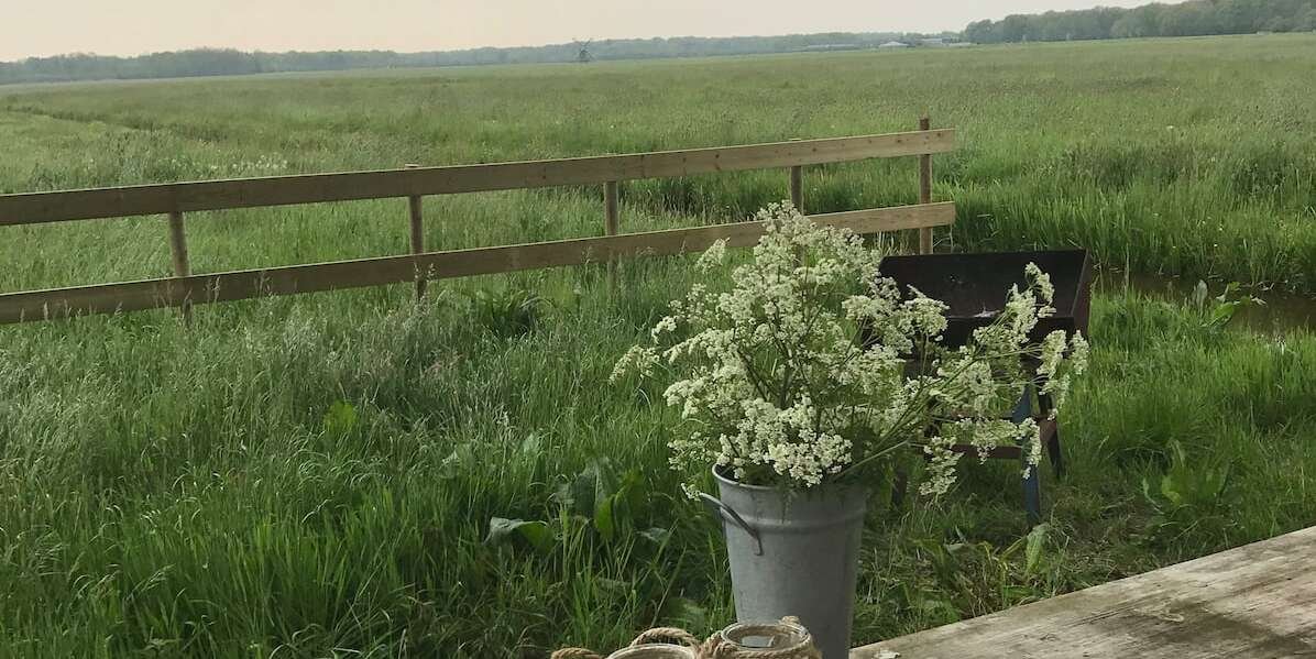 blokhut Blijland weiland lig