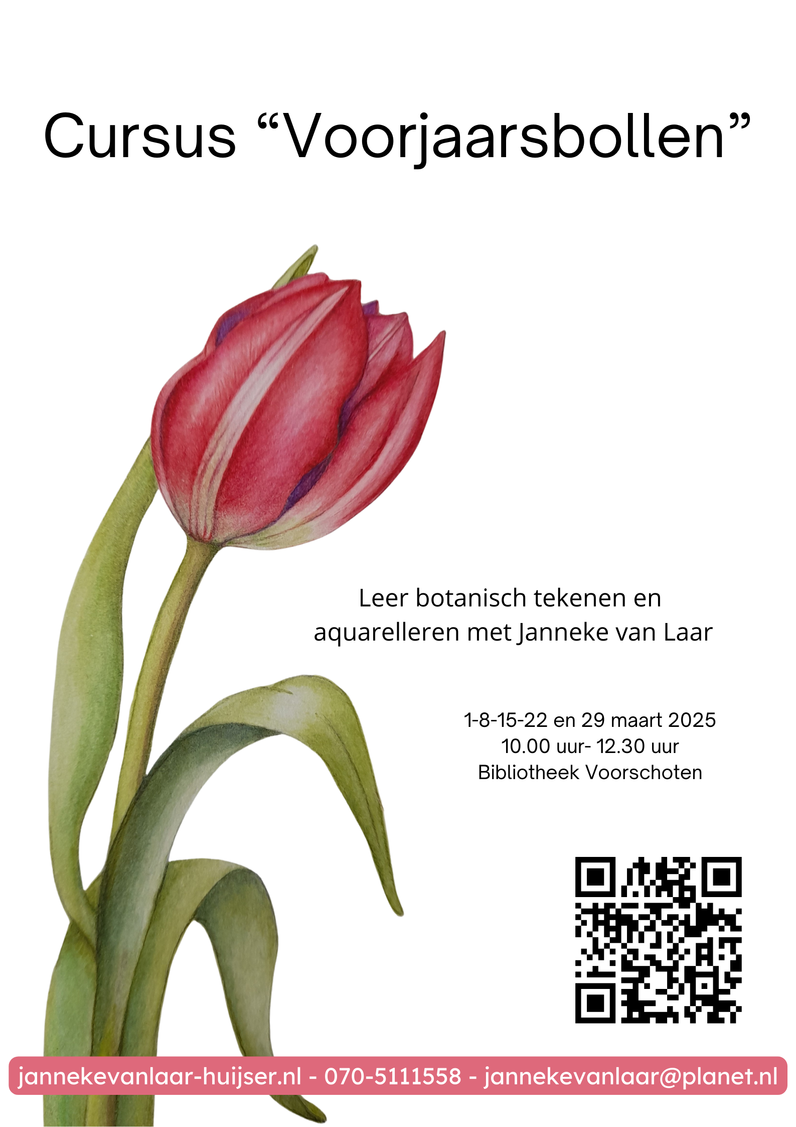 Botanisch tekenen cursus