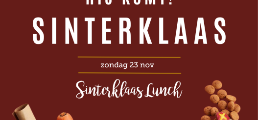 Kopie van hij komt (1080 x 1350 px)