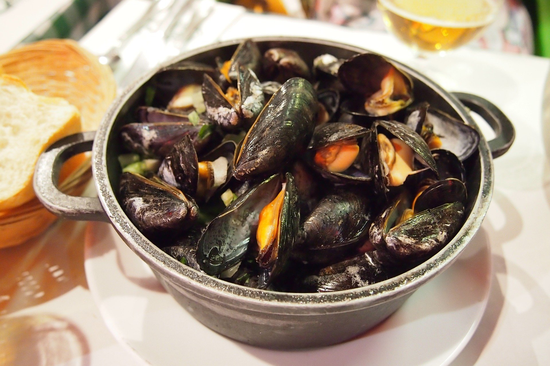 mussels-6468618_1920-1