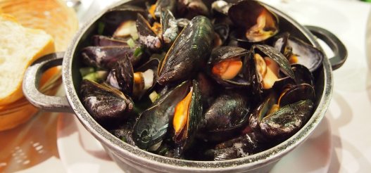 mussels-6468618_1920