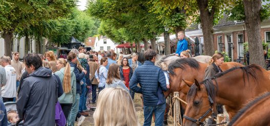 Paardenmarkt 2025